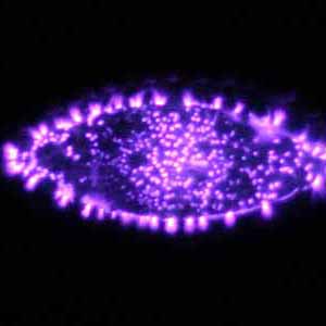 Circular purple and pink energy pattern with bright center and radiating spikes against black background