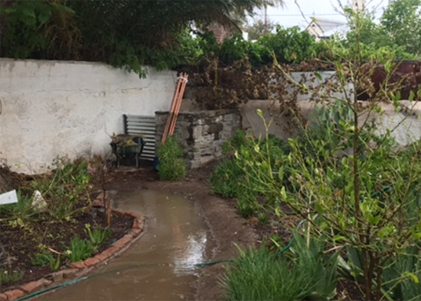Flooded backyard area with muddy water, concrete walls, building materials, overgrown vegetation and trees