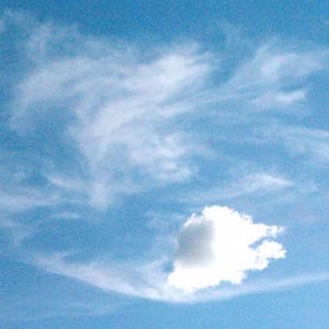 orgone swirl free state