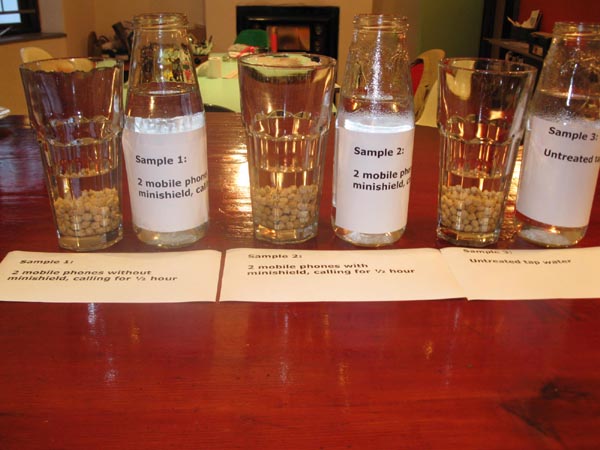 phone radiation, experiment of minishield orgonite protection against phone radiation