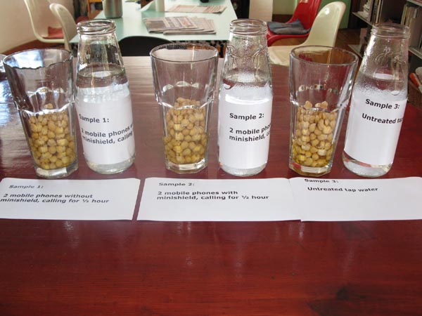 cell phones cancer, orgonite radiation protection experiment, soaked peas