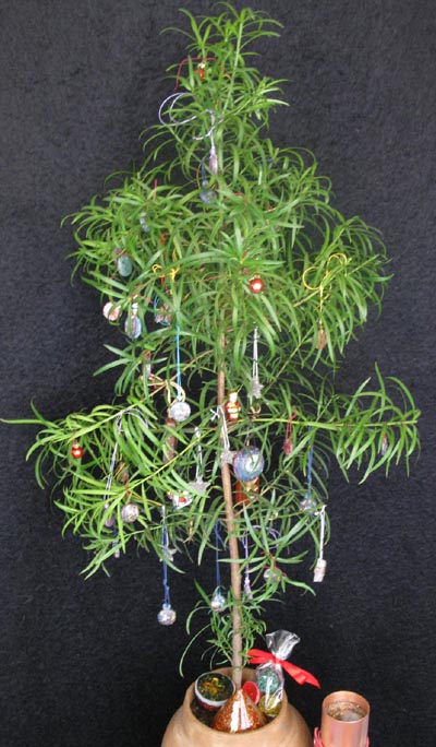 orgonite, mobile radiation, emf protection