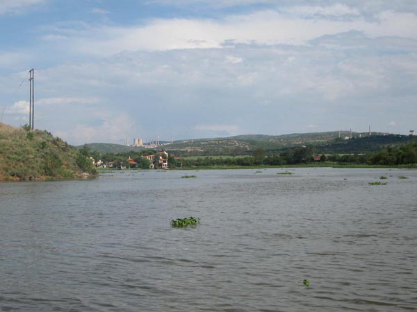 will orgonite get rid of invasive water hyacynths?