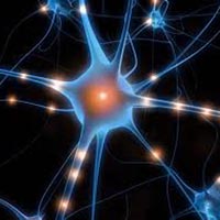 quantum consciousness orgone energy