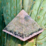 orgonite piramidal rosa con hierba incrustada y banda mineral oscura, colocada sobre cactus verde con espinas visibles