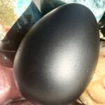 Black oval shungite egg held in palm, smooth matte surface, surrounded by colorful polished stones and crystals