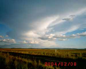 The Free State gifted again