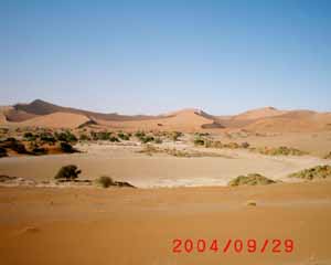 Operation Desert Rain