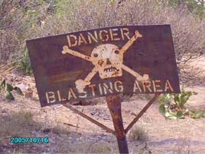 Green Desert Kalahari trip