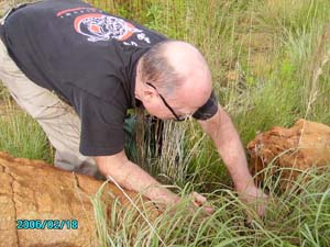 Vortex hunting with Laozu