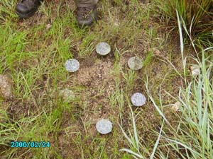 Orgone energy gifting of negative energy lines