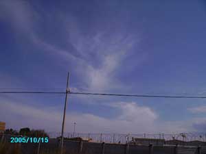 sylphs in the sky after organ gifting
