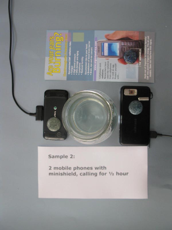 mobil phone radiation damage emf orgonite minishield protection experiment