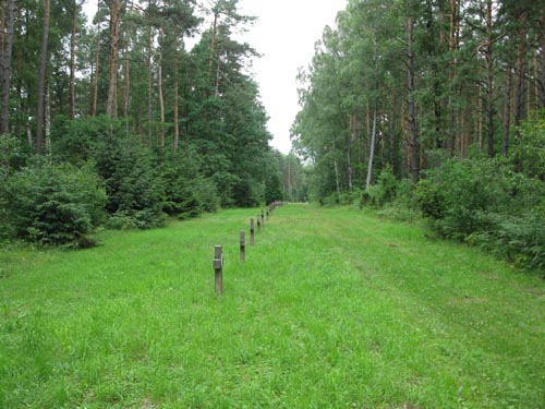 Symbolic row of crosses Image