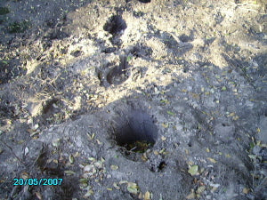 Orgonite gifting Zambesi - elephant footprints