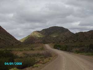 orgonite effects: behold the green Karoo