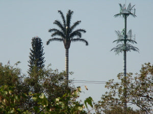 Cellphone towers gifted with orgonite