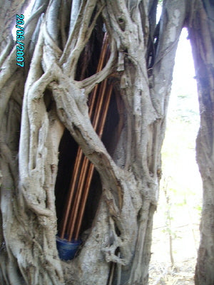 Orgonite CB hidden in tree